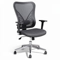 **Technische Titel in het Nederlands: Ergonomische bureaustoel met mesh rugleuning en verstelbare armleuningen**